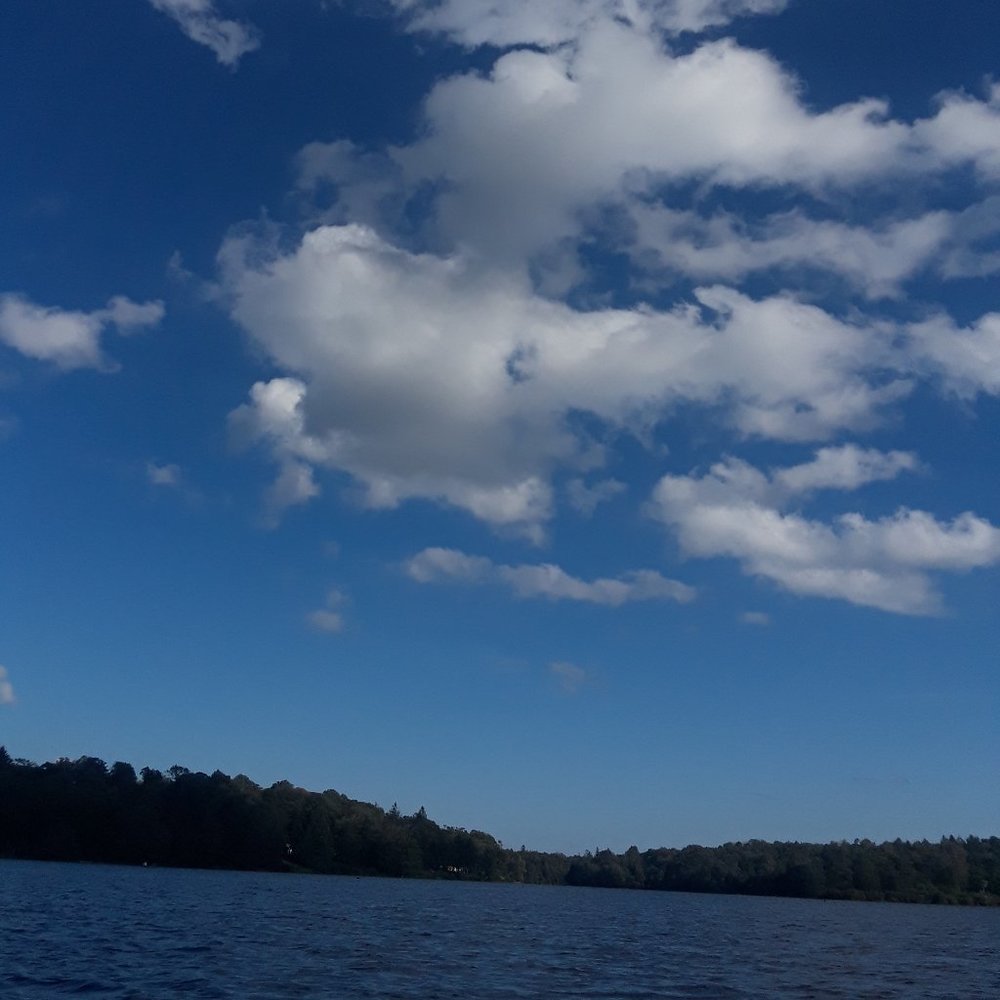 Meet your Posher, Nina